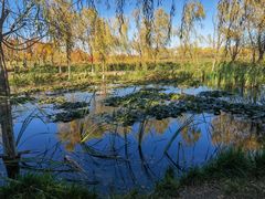 -永定河休闲森林公园