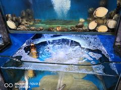 -桔子海鲜烧烤大排档(金沙滩店)