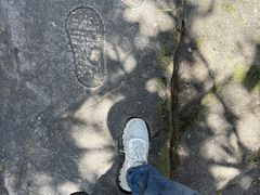 -黄山翡翠谷景区