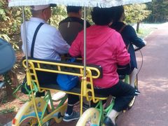 -黄海国家森林公园