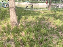 -达活泉公园