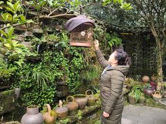 -青城甲(青城山店)