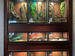 -帕帕拉兹宠物(亚洲旗舰店)