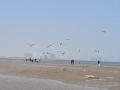 -东戴河风景区-止锚湾