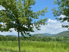 -塞罕坝国家级自然保护区