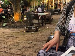 -Fern Forest Cafe