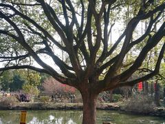 -无锡梅园公园