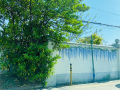 -嘉定紫藤园