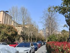 -上海星河湾双语学校