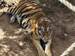 -西霞口神雕山野生动物世界