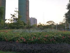 -荔湾区儿童公园