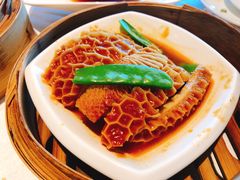 柱侯酱蒸金钱肚-安蒂娅.悦景轩中餐厅(西乡店)