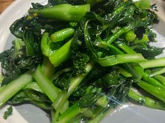 -鸽子窝(青塔店)