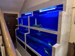 -泰丰楼(前门西大街店)