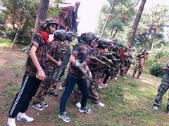 -铁山坪森林公园