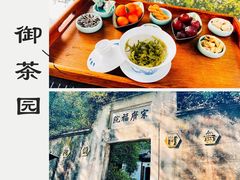 -十八棵（老龙井）御茶园(老龙井店)