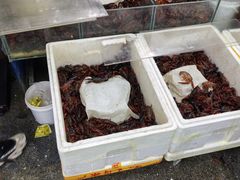 -岳各庄批发市场(西四环中路店)