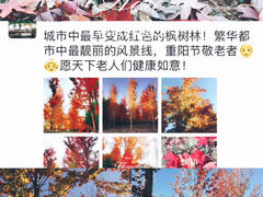 -朝阳公园