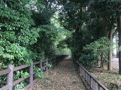 -井之头恩赐公园