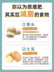 -Fundi张玉珊修身堂·indiba·BTL科技瘦身