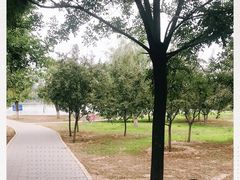 -永定河休闲森林公园