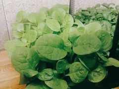 -番食园鲜食火锅(高新店)