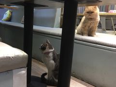-小时光咖啡馆(开森度假森林店)