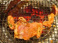 -樱嘢·炭火烧肉(惠南店)