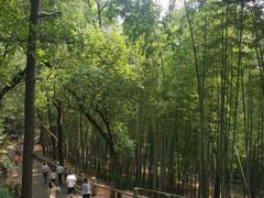 -灵岩山风景区