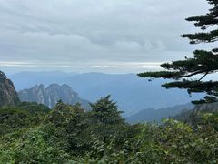 -黄山风景区