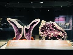 -正佳自然科学博物馆