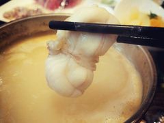 河豚-中苑海韵
