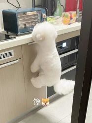 -Oasis Beauty水磨坊科技美肤中心