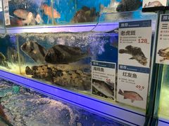 老虎斑-盒马鲜生(岭南新世界店)