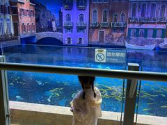 -华夏文旅海洋公园