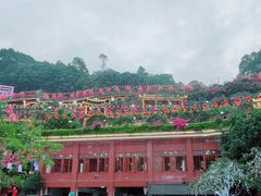 -枇杷园食为鲜火锅(南山店)