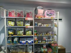 -爱洗澡的猫(望京店)