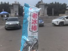 -洛阳古墓博物馆