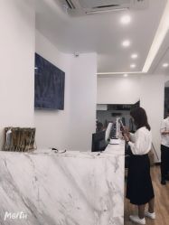 -YESIDO椰岛造型