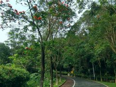 -火炉山森林公园