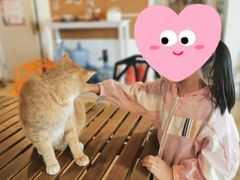 -Cappucimeow猫咪咖啡馆(韦伯时代店)