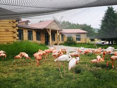 -哈尔滨北方森林动物园