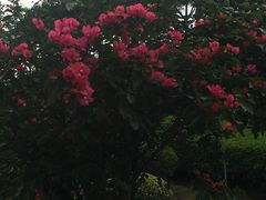 -五通灯塔公园