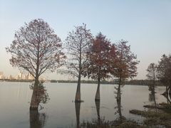 -石湖景区