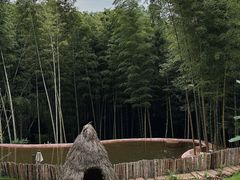-蜀南竹海景区