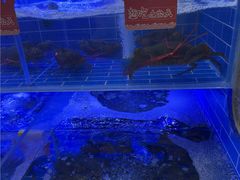 -七欣天香辣蟹火锅(无锡锡沪西路店)