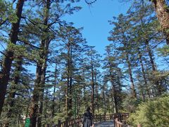 -瓦屋山景区