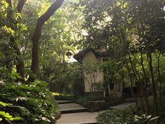 -杭州半山国家森林公园