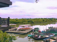 -东寨港红树林旅游区