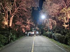 -高榜山景区